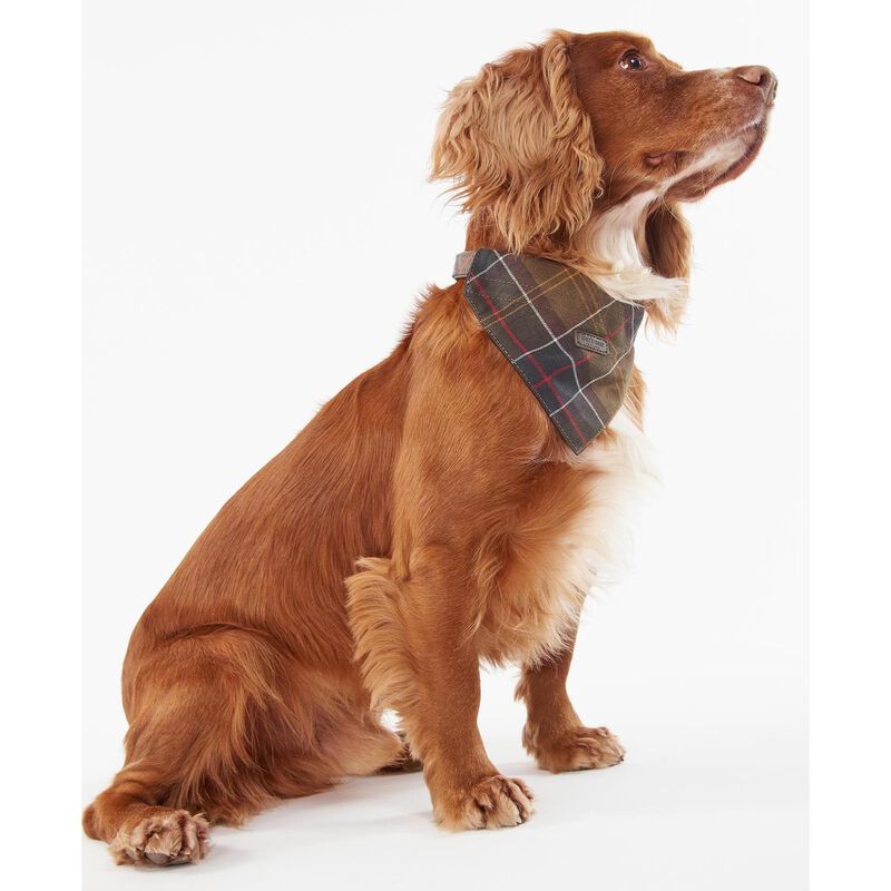 Barbour Tartan Dog Bandana image number 3